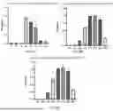 Fig. 05 - PHARMACEUTICAL COMPOSITION, MEGASPHAERA, AND USE THEREOF