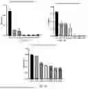 Fig. 06 - PHARMACEUTICAL COMPOSITION, MEGASPHAERA, AND USE THEREOF