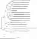 Fig. 08 - PHARMACEUTICAL COMPOSITION, MEGASPHAERA, AND USE THEREOF