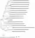 Fig. 10 - PHARMACEUTICAL COMPOSITION, MEGASPHAERA, AND USE THEREOF
