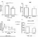 Fig. 12 - PHARMACEUTICAL COMPOSITION, MEGASPHAERA, AND USE THEREOF