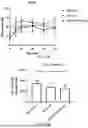 Fig. 13 - PHARMACEUTICAL COMPOSITION, MEGASPHAERA, AND USE THEREOF
