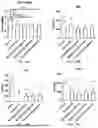 Fig. 18 - PHARMACEUTICAL COMPOSITION, MEGASPHAERA, AND USE THEREOF