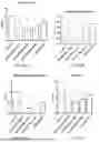 Fig. 23 - PHARMACEUTICAL COMPOSITION, MEGASPHAERA, AND USE THEREOF