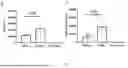 Fig. 16 - IMPROVED CORONAVIRUS VACCINE