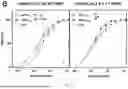 Fig. 22 - IMPROVED CORONAVIRUS VACCINE