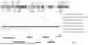 Fig. 48 - IMPROVED CORONAVIRUS VACCINE