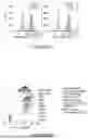 Fig. 02 - ANTIGEN-RECOGNIZING RECEPTORS TARGETING B7-H3 AND USES THEREOF