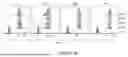 Fig. 07 - ANTIGEN-RECOGNIZING RECEPTORS TARGETING B7-H3 AND USES THEREOF