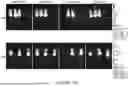 Fig. 26 - ANTIGEN-RECOGNIZING RECEPTORS TARGETING B7-H3 AND USES THEREOF