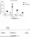 Fig. 29 - ANTIGEN-RECOGNIZING RECEPTORS TARGETING B7-H3 AND USES THEREOF