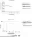 Fig. 40 - ANTIGEN-RECOGNIZING RECEPTORS TARGETING B7-H3 AND USES THEREOF