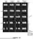 Fig. 41 - ANTIGEN-RECOGNIZING RECEPTORS TARGETING B7-H3 AND USES THEREOF