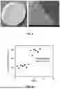 Fig. 05 - Robust Composite Membrane