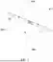 Fig. 06 - SPLICING STRUCTURE AND SPLICED STRAIGHT PLATE