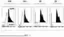 Fig. 05 - IDENTIFICATION OF CERVICAL BIOMARKERS