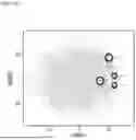 Fig. 07 - IDENTIFICATION OF CERVICAL BIOMARKERS