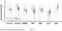 Fig. 11 - IDENTIFICATION OF CERVICAL BIOMARKERS