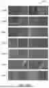 Fig. 04 - AUTOMATED SUBSTRATE DEFECT IDENTIFICATION USING MULTIPLE CLASSIFICATION ENGINE MODELS