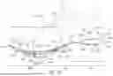 Fig. 20 - ARTICLE OF FOOTWEAR HAVING A SOLE PLATE