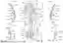 Fig. 34 - ARTICLE OF FOOTWEAR HAVING A SOLE PLATE