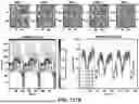 Fig. 167 - COMPOSITIONS AND METHODS FOR DELIVERING CARGO TO A TARGET CELL