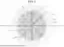Fig. 06 - DISPERSION PLATE, GAS FEED MECHANISM, AND SUBSTRATE PROCESSING DEVICE