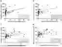 Fig. 01 - CELL-FREE DNA CONCENTRATION IN HYPOTHERMIC MACHINE PERFUSATE AS A RAPID MARKER FOR KIDNEY GRAFT QUALITY