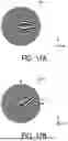 Fig. 13 - RADIO WAVE CONTROL DEVICE AND RADIO WAVE CONTROL METHOD