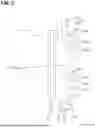 Fig. 06 - STRUCTURE FOR CRIMPING WIRE AND OUTER CONDUCTOR
