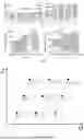 Fig. 03 - Mid-term coordinated dispatch method for hydro-wind-solar hybrid systems incorporating multi-regional daily load profiles