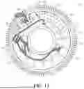Fig. 13 - MOTOR ASSEMBLY FOR DRIVING A PUMP WITH A MATRIX CONVERTER