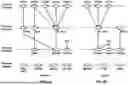 Fig. 06 - Wireless Device Predictions