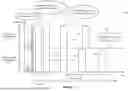 Fig. 08 - COORDINATED TIME DIVISION MULTIPLE ACCESS (C-TDMA) IN WI-FI NETWORKS FOR PARTIAL BANDWIDTH TRANSMISSION OPPORTUNITY (TXOP) SHARING