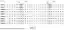 Fig. 10 - METHODS, PROCEDURES AND APPARATUS FOR RESOURCE ALLOCATION OF DISTRIBUTED RESOURCE UNITS IN PUNCTURED CHANNELS IN WI-FI