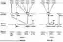 Fig. 06 - Dynamic Beam Report Indication