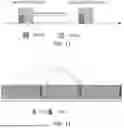 Fig. 09 - METHOD FOR SIDELINK TRANSMISSION RESOURCE DETERMINATION, TERMINAL DEVICE, AND STORAGE MEDIUM
