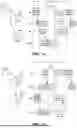 Fig. 12 - LOW OVERHEAD NON-TERRESTRIAL NETWORK (NTN) TIME DIVISION DUPLEX