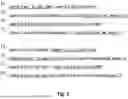 Fig. 03 - METHOD FOR ESTABLISHING COMMUNICATION BETWEEN AT LEAST TWO APPARATUSES IN A COMMUNICATION NETWORK