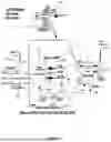 Fig. 25 - System and method for a viral molecular network utilizing mobile devices