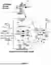 Fig. 29 - System and method for a viral molecular network utilizing mobile devices