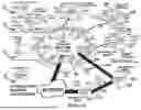 Fig. 42 - System and method for a viral molecular network utilizing mobile devices
