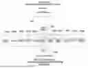Fig. 56 - System and method for a viral molecular network utilizing mobile devices