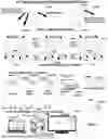 Fig. 71 - System and method for a viral molecular network utilizing mobile devices