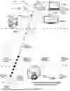 Fig. 93 - System and method for a viral molecular network utilizing mobile devices