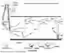 Fig. 99 - System and method for a viral molecular network utilizing mobile devices