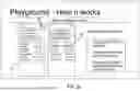 Fig. 21 - LIGHTING SYSTEM WITH DISTRIBUTED PROGRAMMING