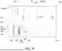 Fig. 09 - PRINTED CIRCUIT BOARD AND AIR CONDITIONER INCLUDING THE SAME