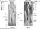 Fig. 13 - SYSTEMS, DEVICES, AND METHODS FOR IMPROVING HEAT DISSIPATION