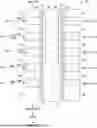 Fig. 01 - CHANNEL LINER FOR SELECT GATE THRESHOLD VOLTAGE TUNING